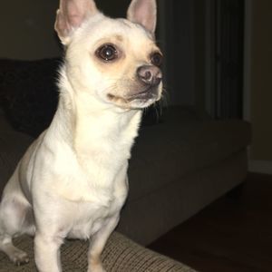 Meet your Posher, Lydia